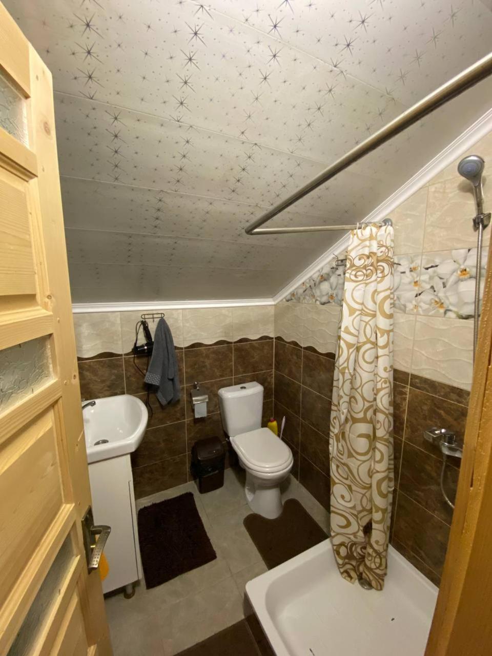 Sova Apartment Lazeshchyna Room photo